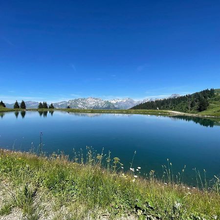 Samoens 1600 Studio Au Pied Des Pistes エクステリア 写真