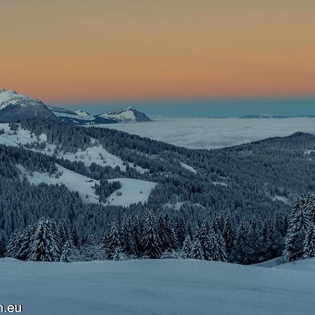 Samoens 1600 Studio Au Pied Des Pistes エクステリア 写真