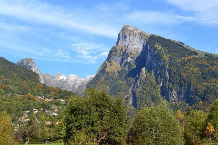 Samoens 1600 Studio Au Pied Des Pistes エクステリア 写真